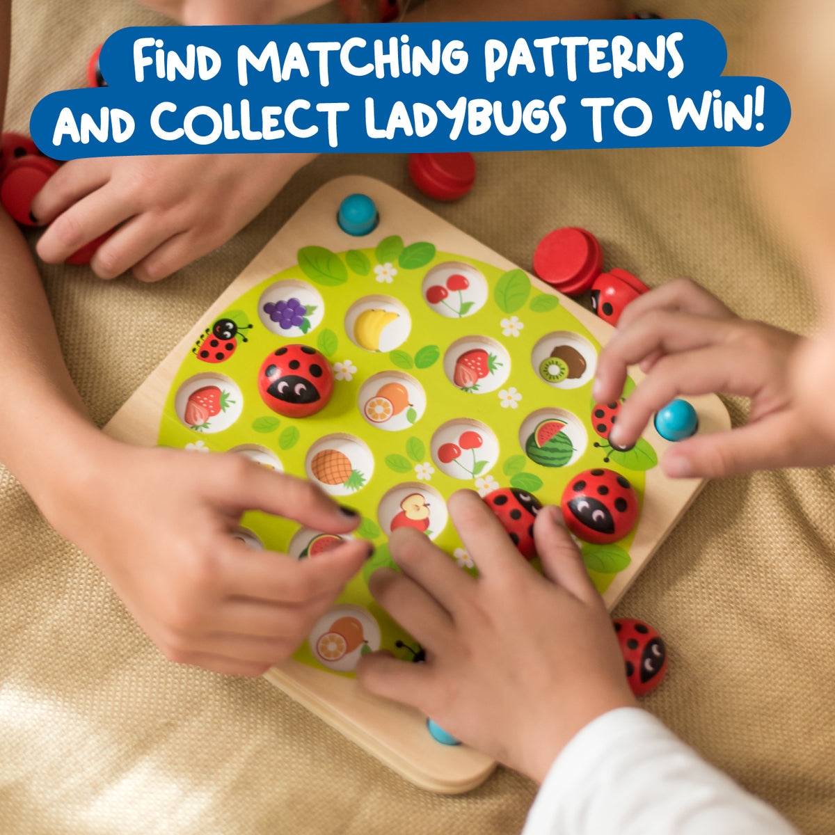 Ladybug Matching Game