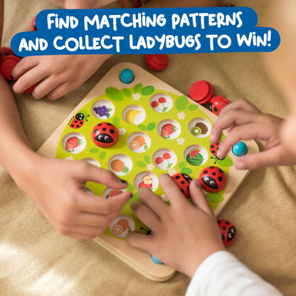 Ladybug Matching Game