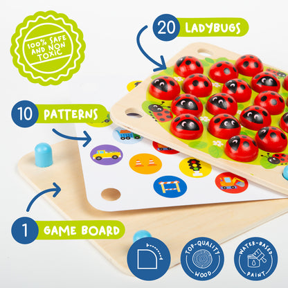 Ladybug Matching Game