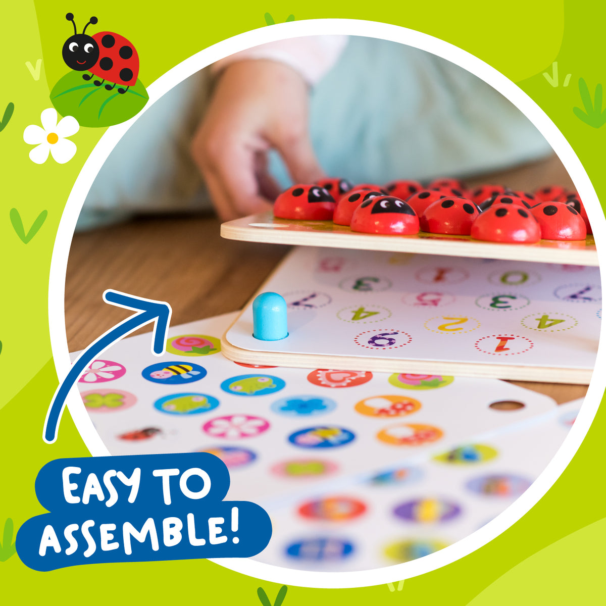 Ladybug Matching Game