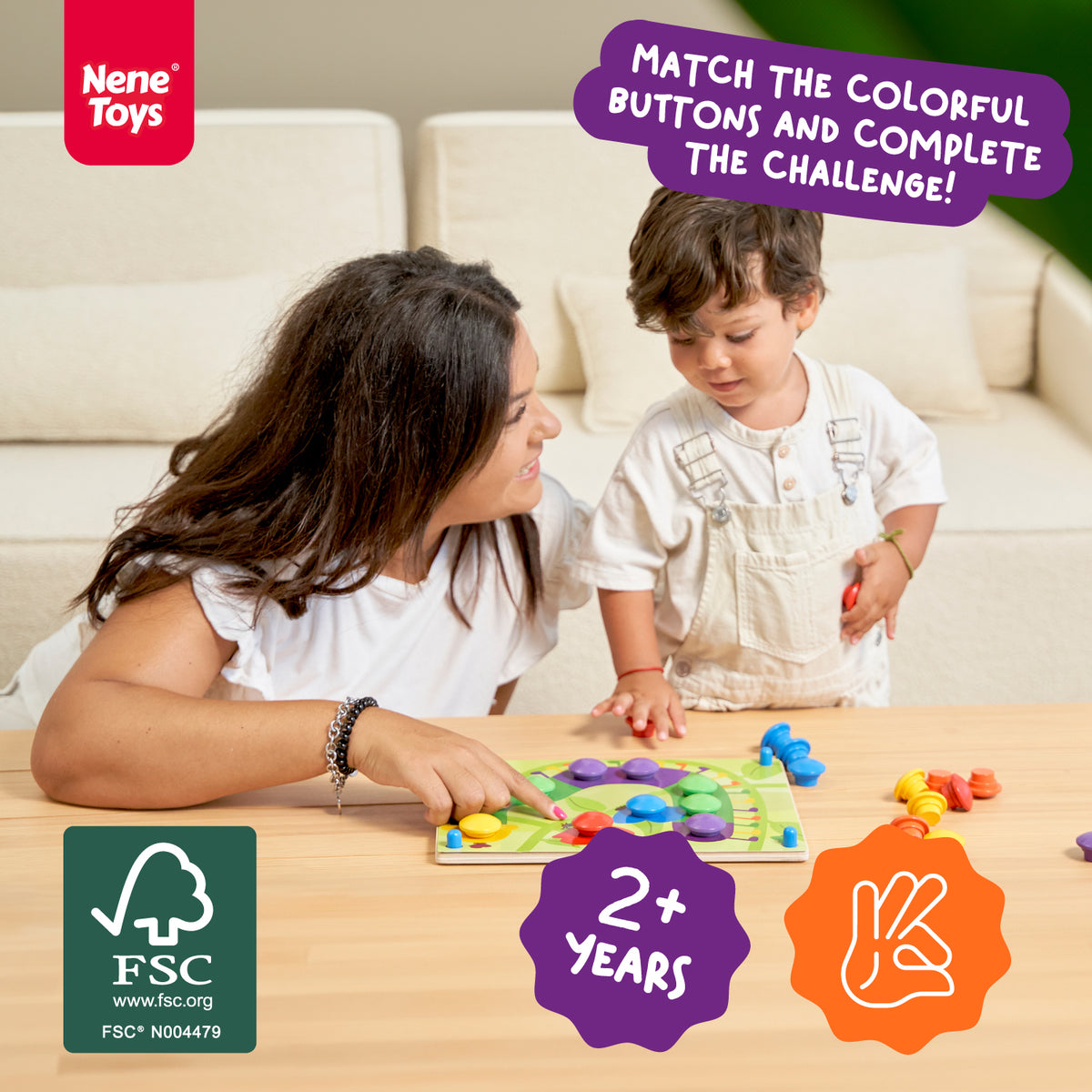 Wooden Color Matching Puzzle