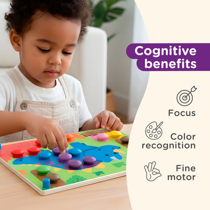 Color Botton Board 48pcs [Big Edition]
