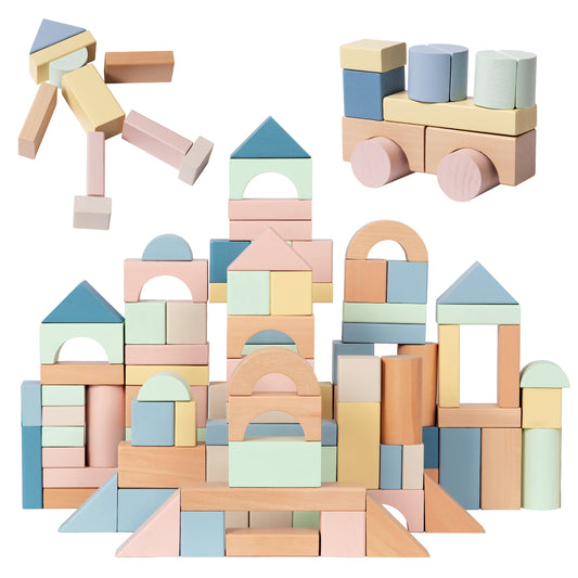 100pcs Wooden Building Blocks