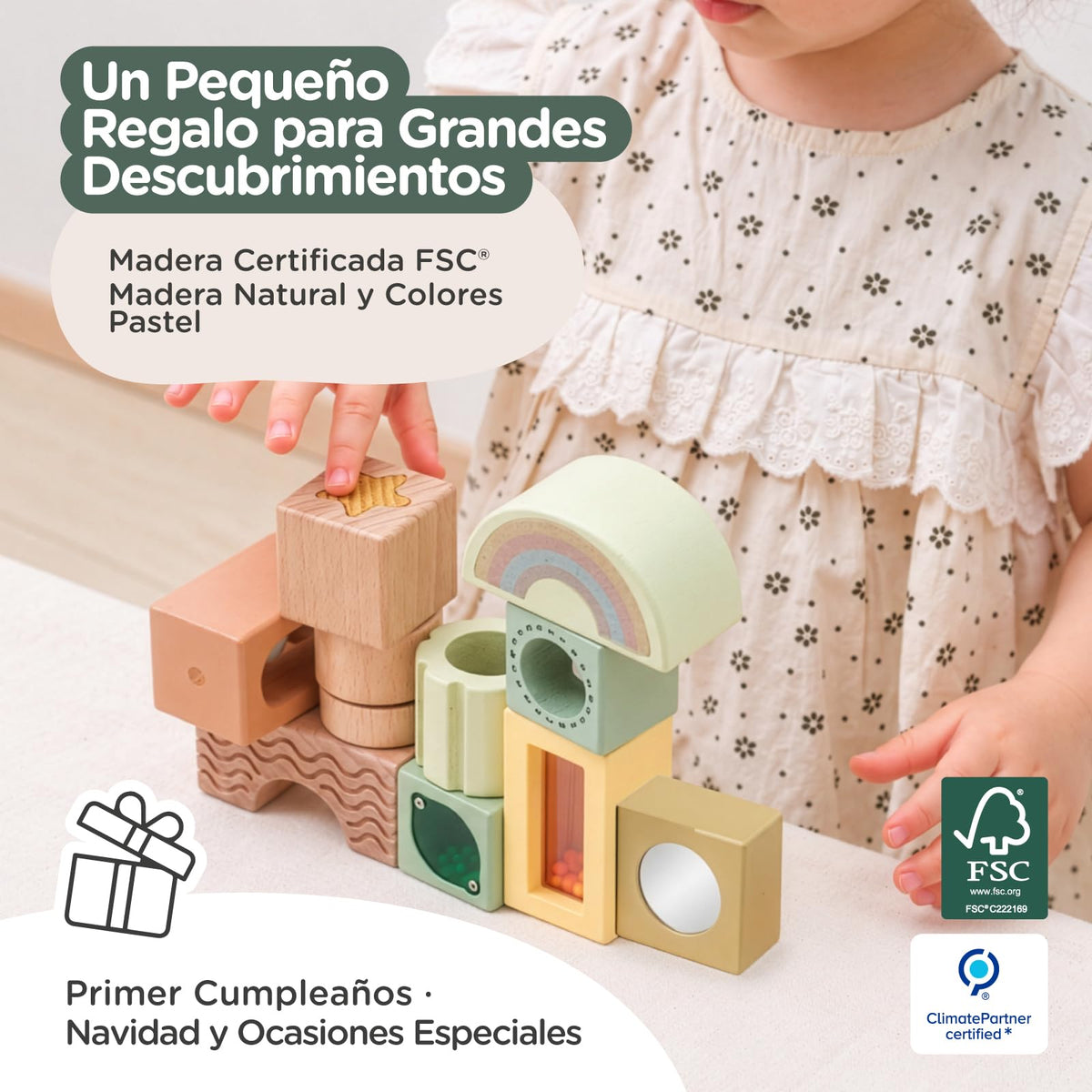 Sensory Wooden Blocks Set — PT05