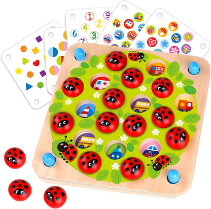 Ladybug Matching Game