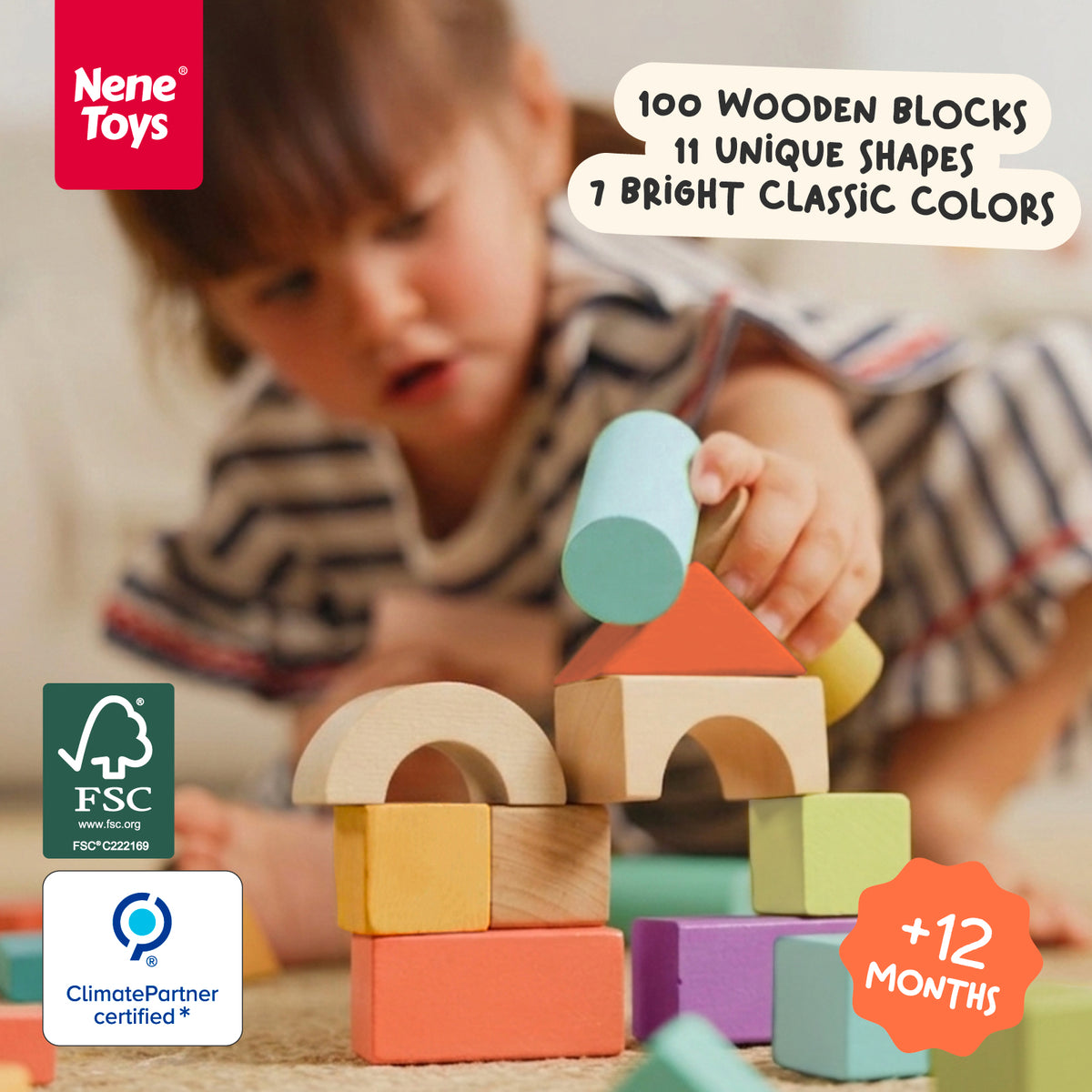 100 Pcs Wooden Building Blocks - Classic Colors — PT01