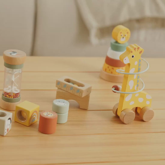 4-in-1 Animal Learning Set — see it in action