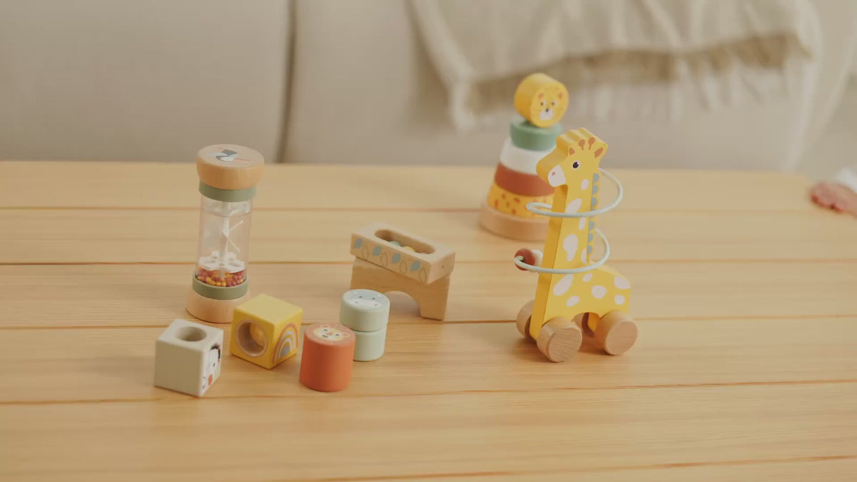4-in-1 Animal Learning Set — see it in action
