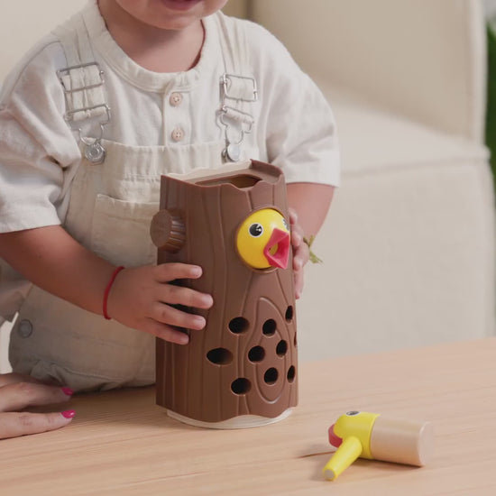 Little Woodpecker Magnetic Toy — see it in action